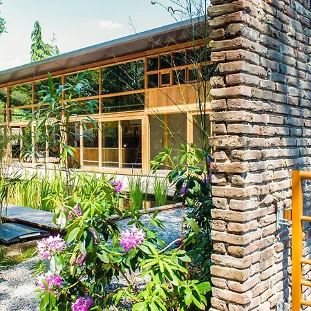 Lovely In Gorssel With Private Swimming Pool, Be Inside Or Outside Holiday home